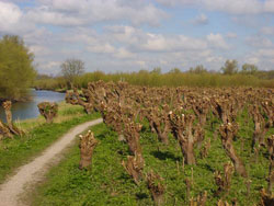 Nog een voorbeeld