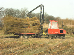 Het rupsvoertuig waarmee bossen entlatten uit de plantage kunnen worden gehaald (hier overigens niet beladen met entlatten)