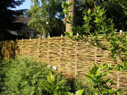 Een natuurlijke schutting kan een prachtig natuurlijk onderdeel van uw tuin worden