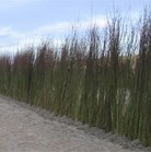 stuifschermen